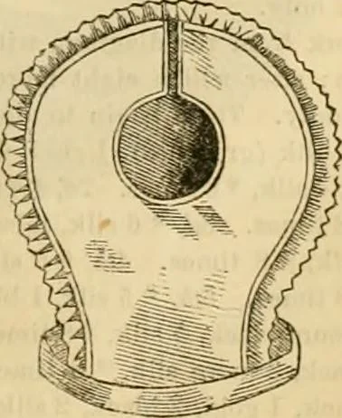 An illustration from Godey's lady's book 1862 Jan -June; Jul - Dec, 1862, leaf 795