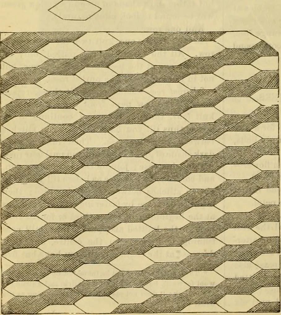 An illustration from Godey's lady's book 1862 Jan -June; Jul - Dec, 1862, leaf 802
