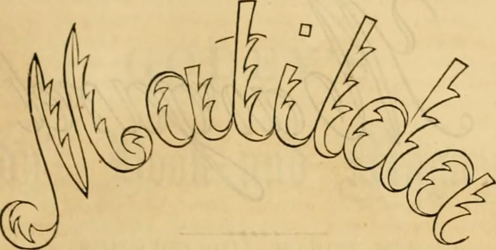 An illustration from Godey's lady's book 1862 Jan -June; Jul - Dec, 1862, leaf 841