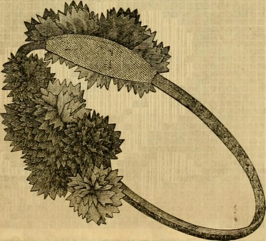An illustration from Godey's lady's book 1862 Jan -June; Jul - Dec, 1862, leaf 897