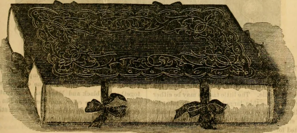 An illustration from Godey's lady's book 1862 Jan -June; Jul - Dec, 1862, leaf 899