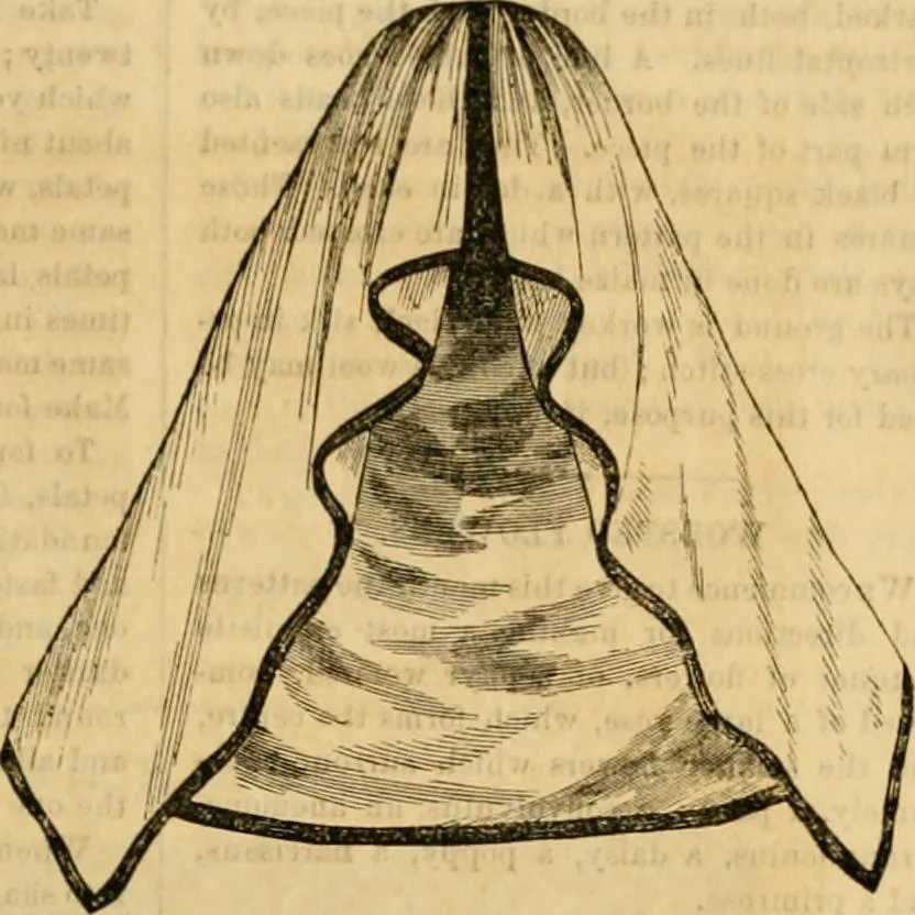 An illustration from Godey's lady's book 1862 Jan -June; Jul - Dec, 1862, leaf 901