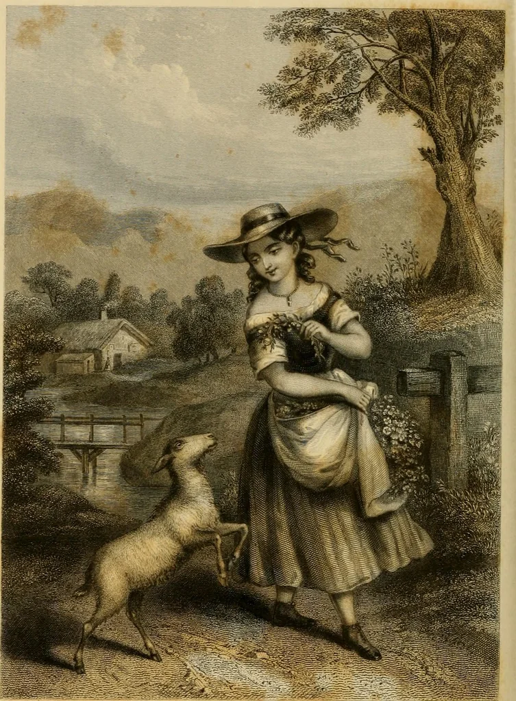 An illustration from Godey's lady's book 1862 Jan -June; Jul - Dec, 1862, leaf 928