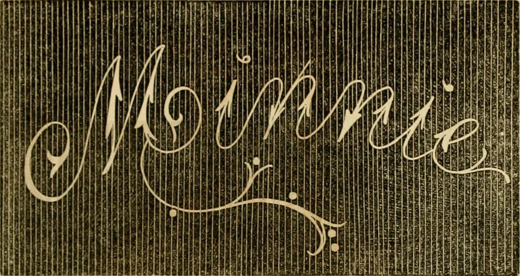 An illustration from Godey's lady's book 1862 Jan -June; Jul - Dec, 1862, leaf 939