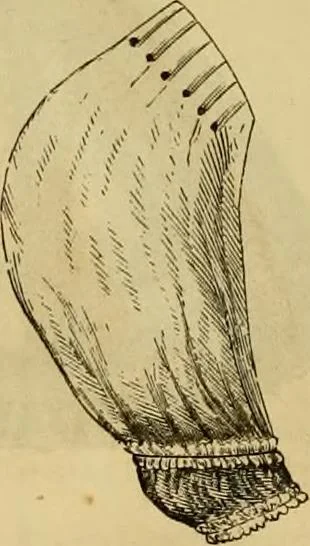 An illustration from Godey's lady's book 1862 Jan -June; Jul - Dec, 1862, leaf 998