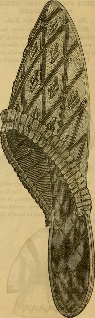 An illustration from Godey's lady's book 1863 Jan -June; Jul - Dec, 1863, leaf 1068