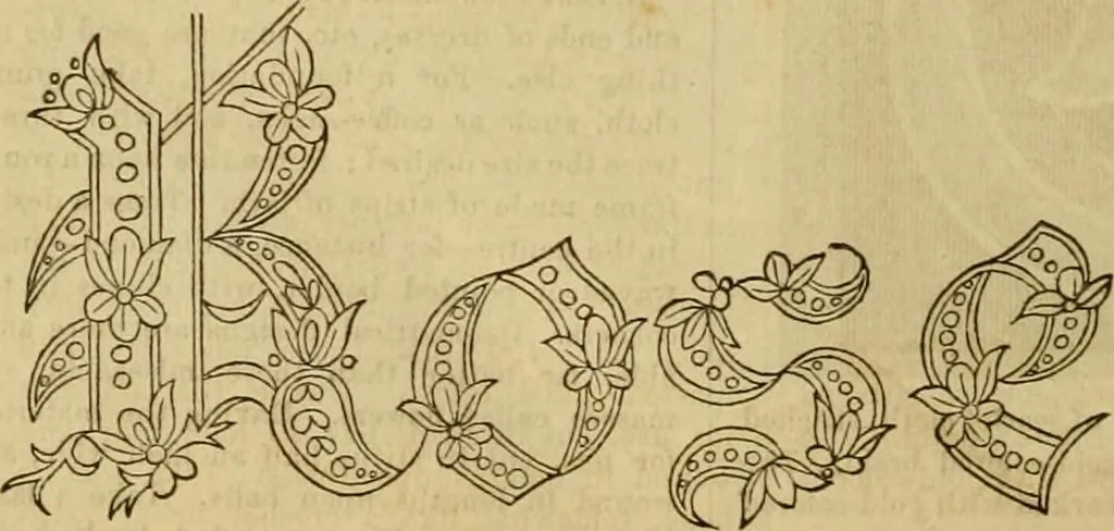 An illustration from Godey's lady's book 1863 Jan -June; Jul - Dec, 1863, leaf 1160