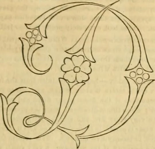 An illustration from Godey's lady's book 1863 Jan -June; Jul - Dec, 1863, leaf 1161