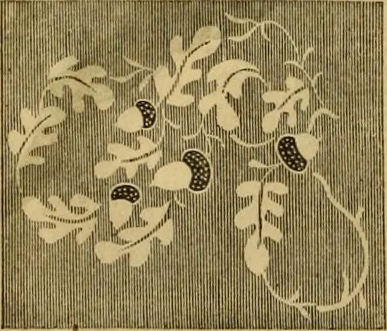 An illustration from Godey's lady's book 1863 Jan -June; Jul - Dec, 1863, leaf 124