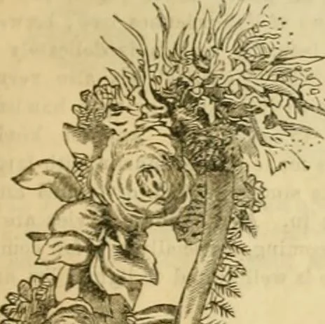 An illustration from Godey's lady's book 1863 Jan -June; Jul - Dec, 1863, leaf 171