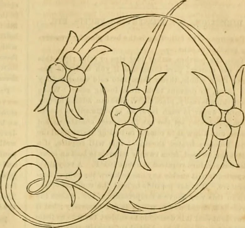 An illustration from Godey's lady's book 1863 Jan -June; Jul - Dec, 1863, leaf 179