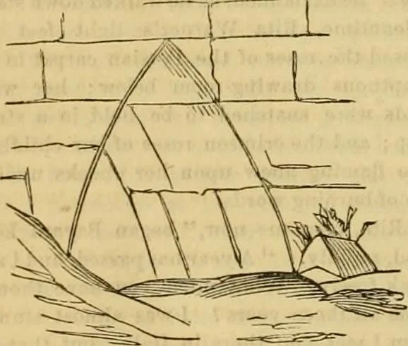 An illustration from Godey's lady's book 1863 Jan -June; Jul - Dec, 1863, leaf 254