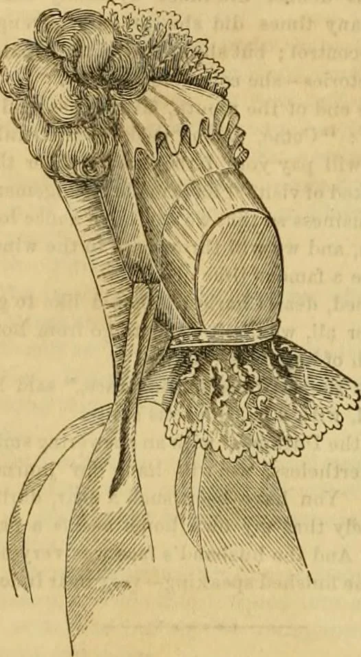 An illustration from Godey's lady's book 1863 Jan -June; Jul - Dec, 1863, leaf 258