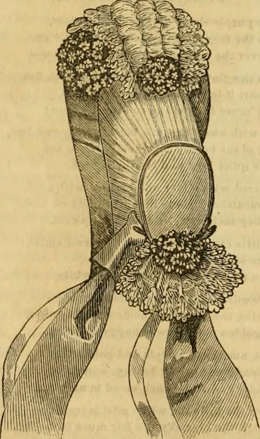 An illustration from Godey's lady's book 1863 Jan -June; Jul - Dec, 1863, leaf 258