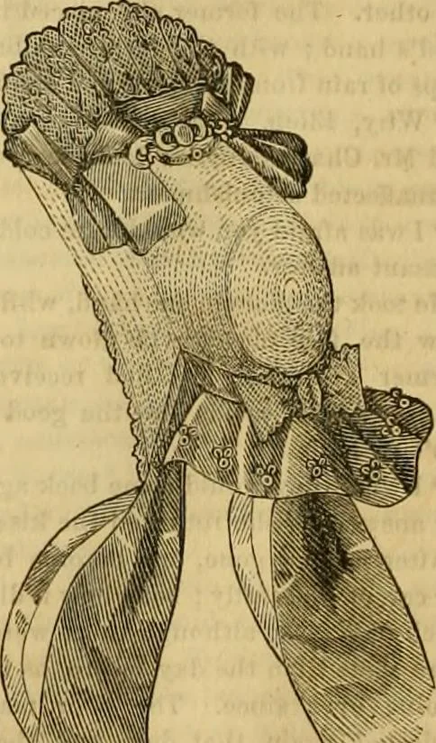 An illustration from Godey's lady's book 1863 Jan -June; Jul - Dec, 1863, leaf 258