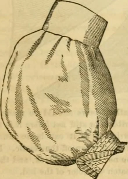 An illustration from Godey's lady's book 1863 Jan -June; Jul - Dec, 1863, leaf 261