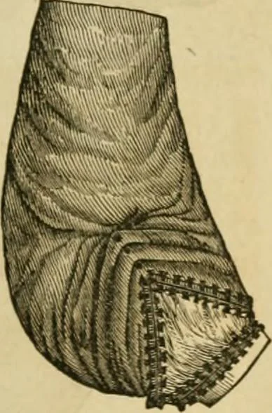 An illustration from Godey's lady's book 1863 Jan -June; Jul - Dec, 1863, leaf 261