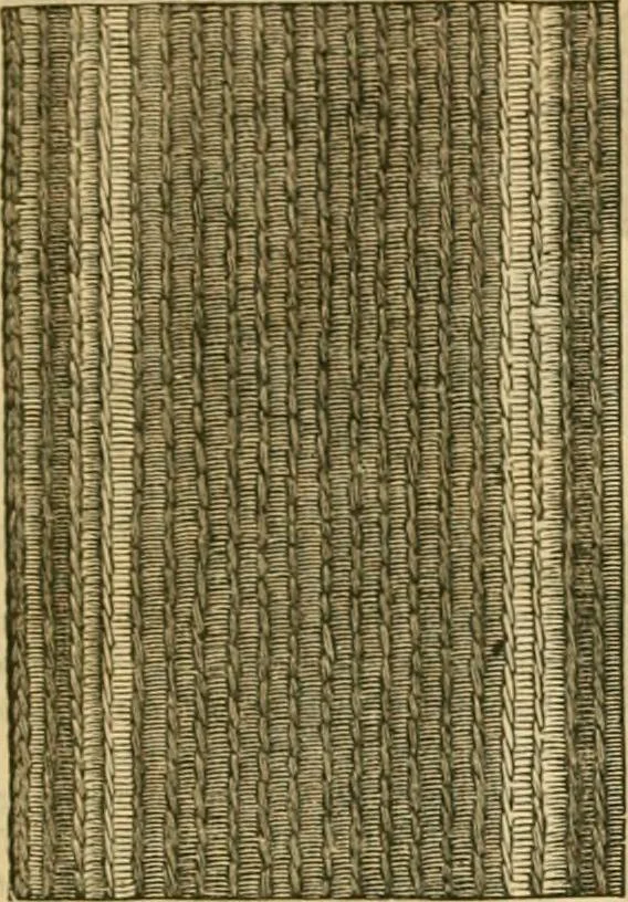 An illustration from Godey's lady's book 1863 Jan -June; Jul - Dec, 1863, leaf 263