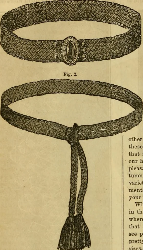 An illustration from Godey's lady's book 1863 Jan -June; Jul - Dec, 1863, leaf 264