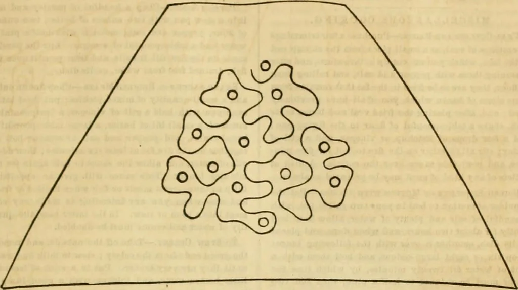 An illustration from Godey's lady's book 1863 Jan -June; Jul - Dec, 1863, leaf 267
