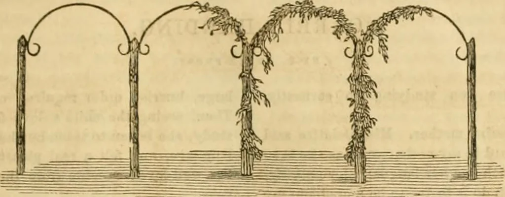 An illustration from Godey's lady's book 1863 Jan -June; Jul - Dec, 1863, leaf 29