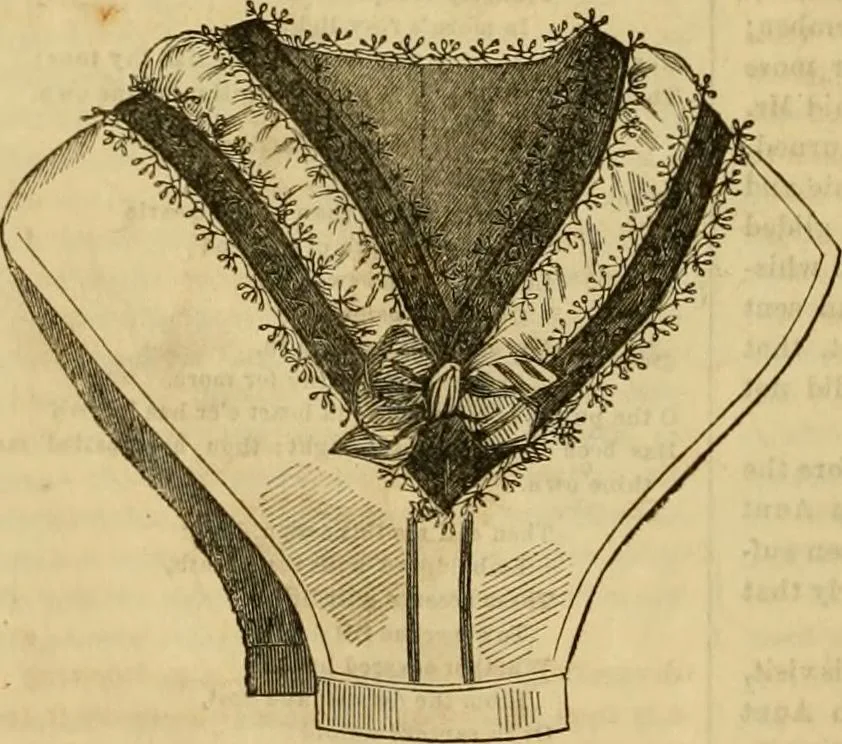 An illustration from Godey's lady's book 1863 Jan -June; Jul - Dec, 1863, leaf 356