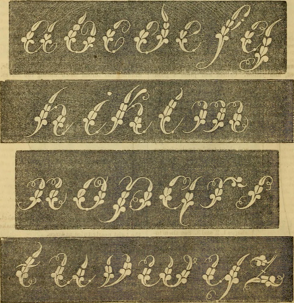 An illustration from Godey's lady's book 1863 Jan -June; Jul - Dec, 1863, leaf 366