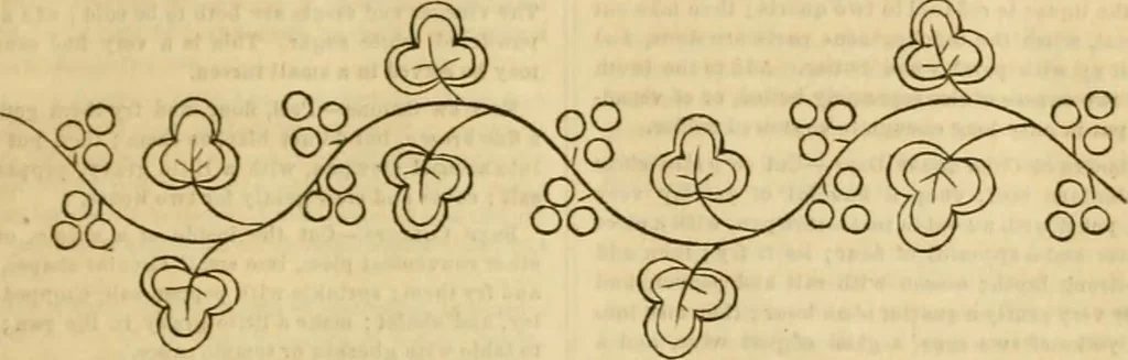 An illustration from Godey's lady's book 1863 Jan -June; Jul - Dec, 1863, leaf 465
