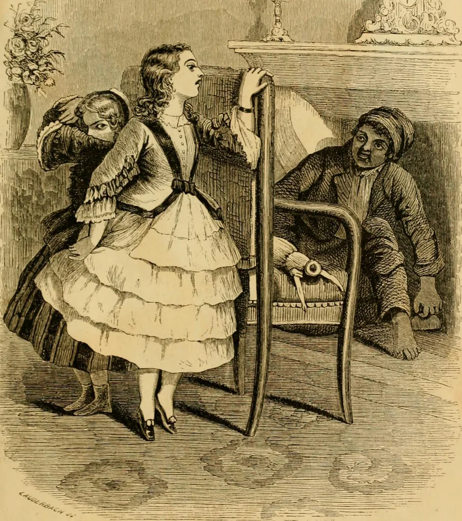 An illustration from Godey's lady's book 1863 Jan -June; Jul - Dec, 1863, leaf 493