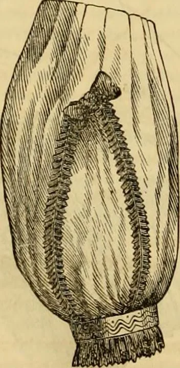 An illustration from Godey's lady's book 1863 Jan -June; Jul - Dec, 1863, leaf 686