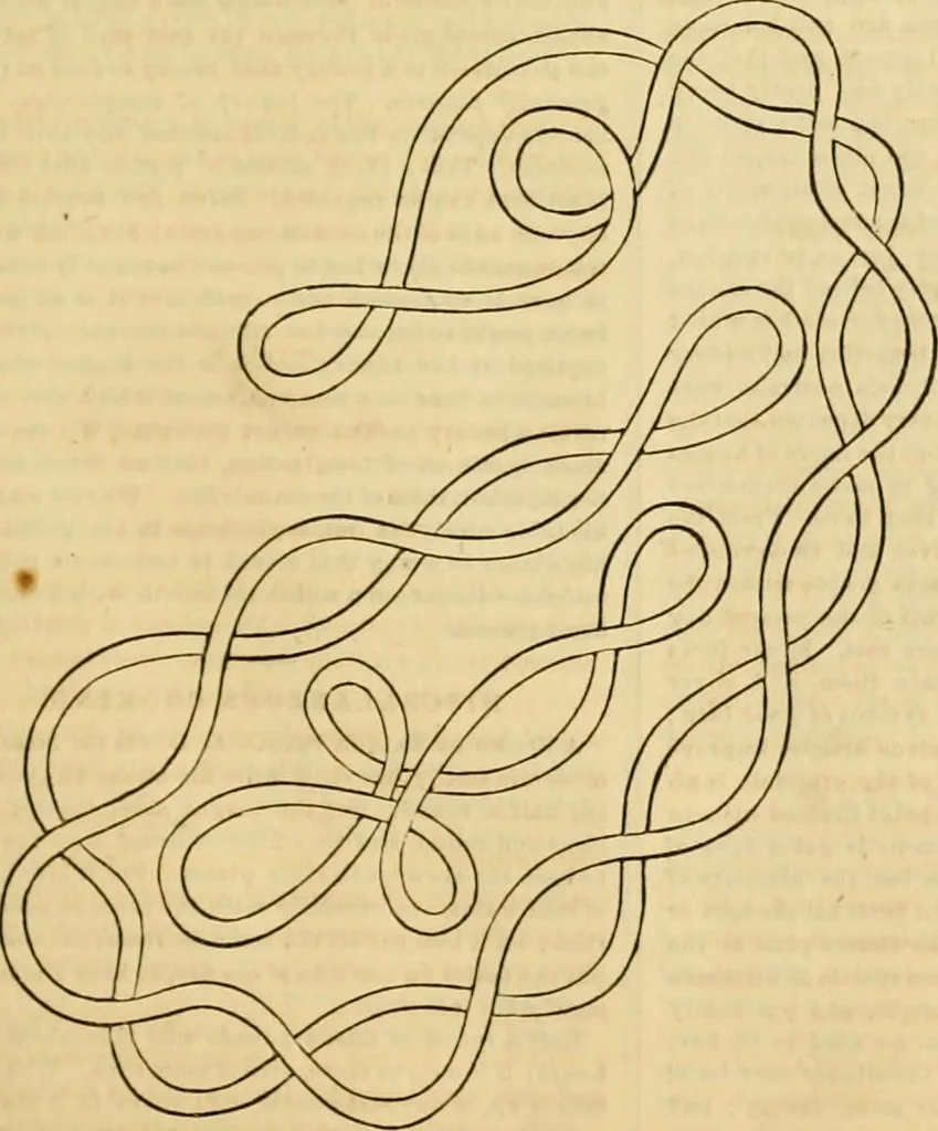 An illustration from Godey's lady's book 1863 Jan -June; Jul - Dec, 1863, leaf 693