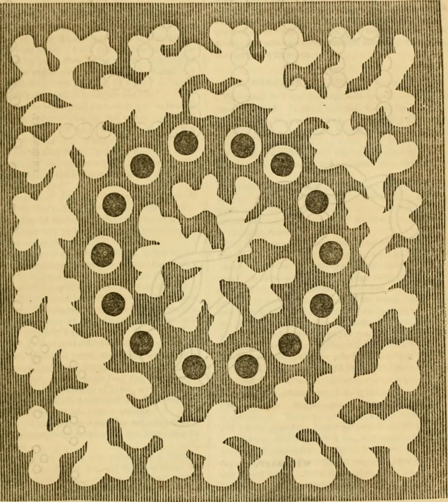 An illustration from Godey's lady's book 1863 Jan -June; Jul - Dec, 1863, leaf 793