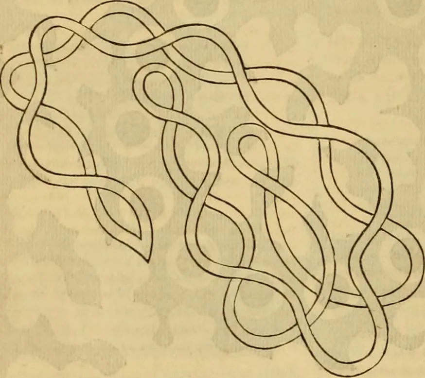 An illustration from Godey's lady's book 1863 Jan -June; Jul - Dec, 1863, leaf 794