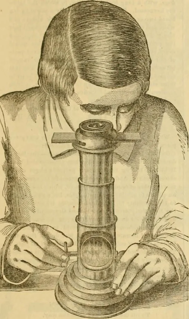 An illustration from Godey's lady's book 1863 Jan -June; Jul - Dec, 1863, leaf 807