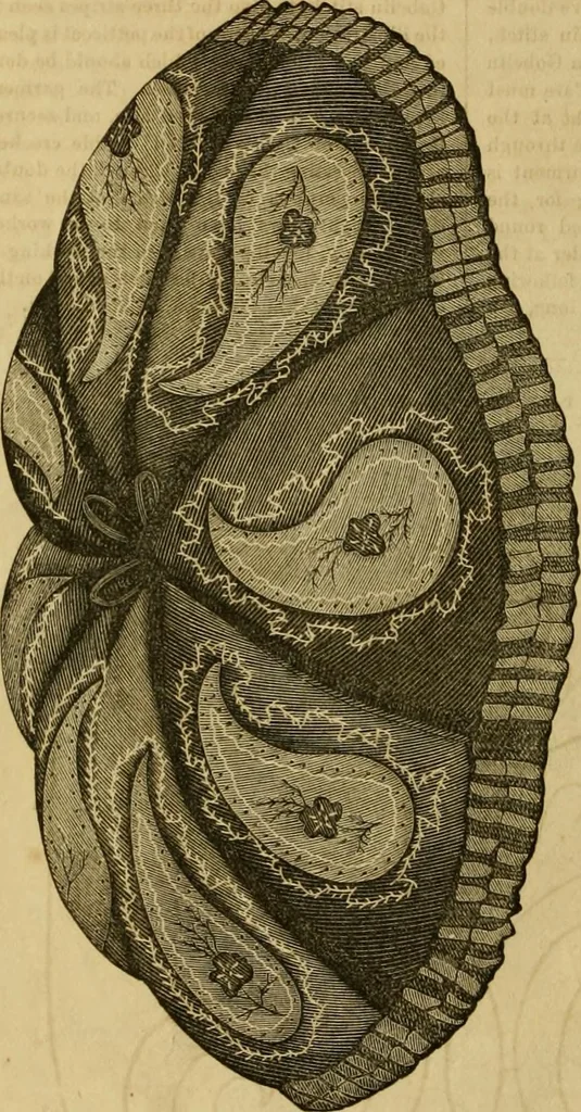An illustration from Godey's lady's book 1863 Jan -June; Jul - Dec, 1863, leaf 86
