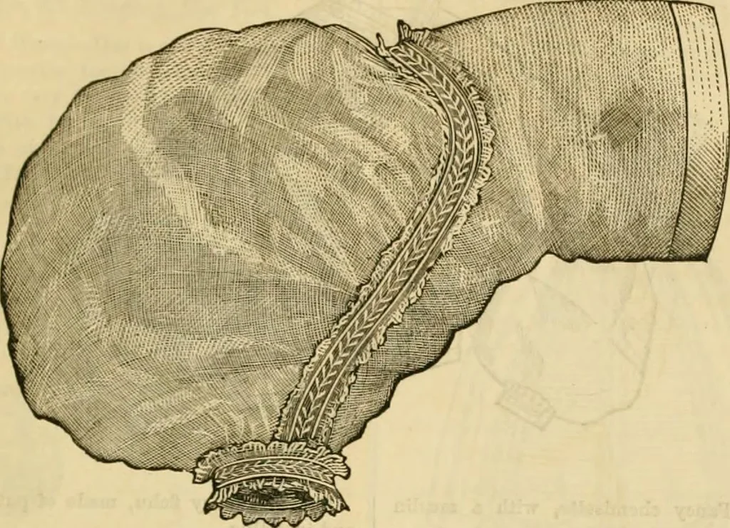 An illustration from Godey's lady's book 1863 Jan -June; Jul - Dec, 1863, leaf 887