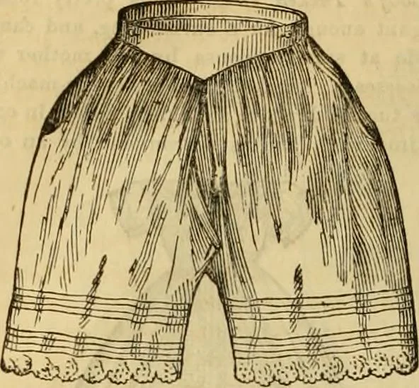 An illustration from Godey's lady's book 1863 Jan -June; Jul - Dec, 1863, leaf 890