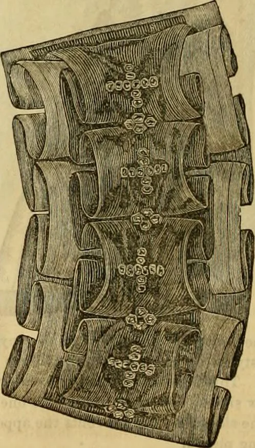 An illustration from Godey's lady's book 1863 Jan -June; Jul - Dec, 1863, leaf 890