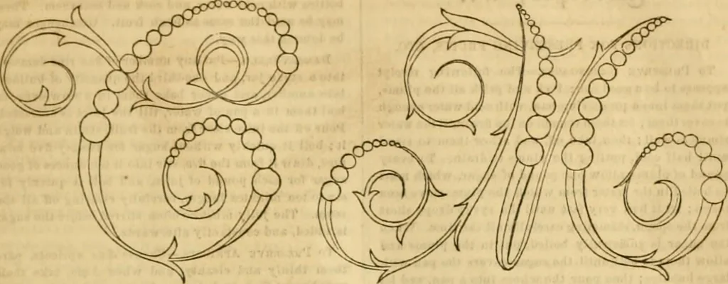 An illustration from Godey's lady's book 1863 Jan -June; Jul - Dec, 1863, leaf 91