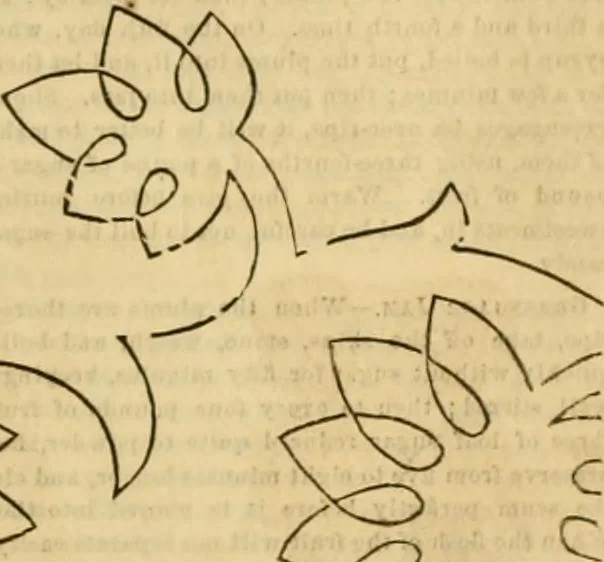 An illustration from Godey's lady's book 1863 Jan -June; Jul - Dec, 1863, leaf 91