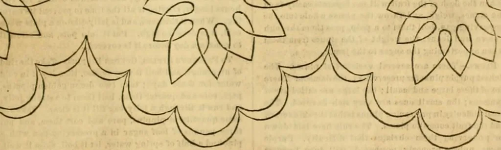 An illustration from Godey's lady's book 1863 Jan -June; Jul - Dec, 1863, leaf 91