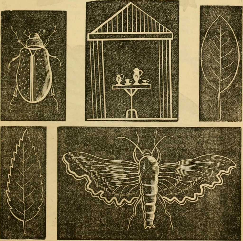 An illustration from Godey's lady's book 1863 Jan -June; Jul - Dec, 1863, leaf 977