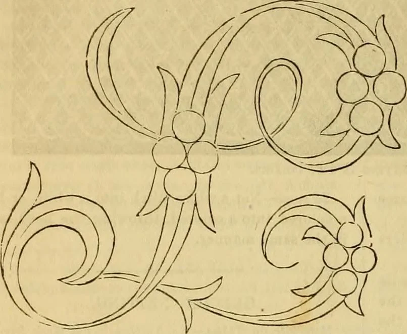 An illustration from Godey's lady's book 1863 Jan -June; Jul - Dec, 1863, leaf 986