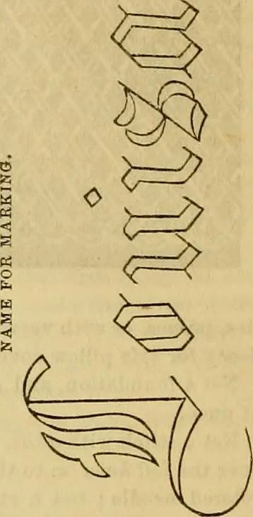 An illustration from Godey's lady's book 1863 Jan -June; Jul - Dec, 1863, leaf 986