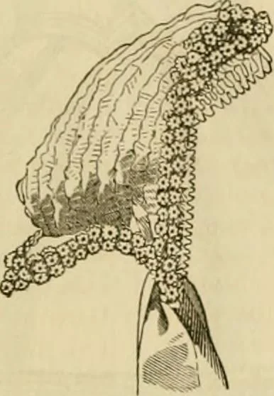An illustration from Godey's lady's book 1864 Jan -June; Jul - Dec, 1864, leaf 1081