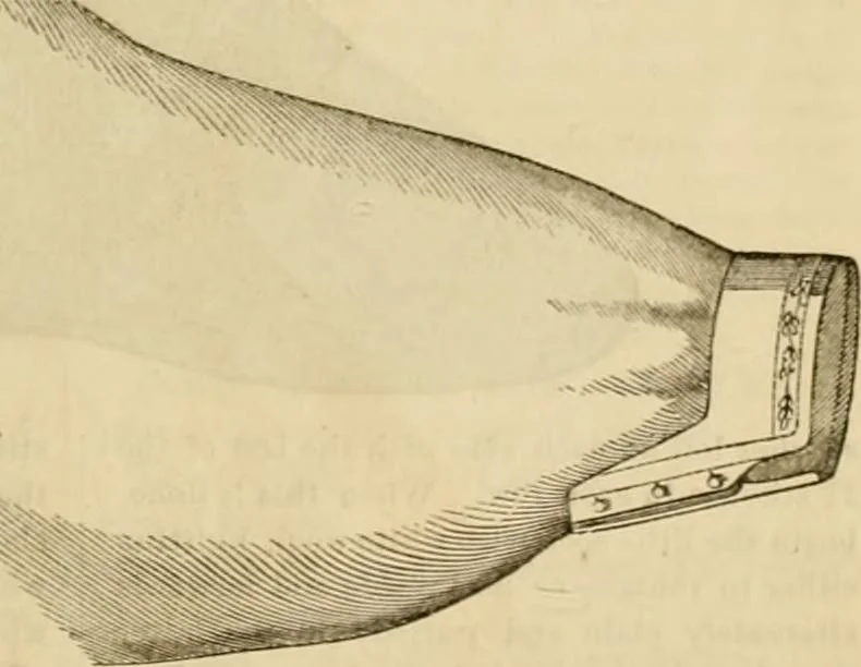 An illustration from Godey's lady's book 1864 Jan -June; Jul - Dec, 1864, leaf 1083
