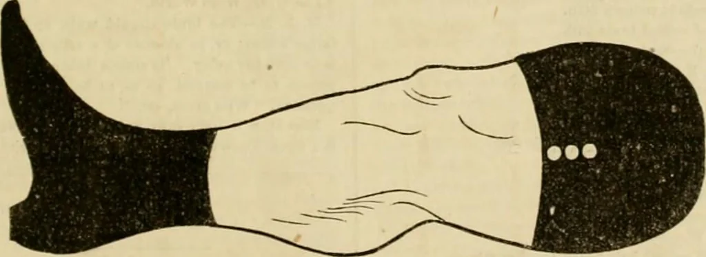 An illustration from Godey's lady's book 1864 Jan -June; Jul - Dec, 1864, leaf 1105