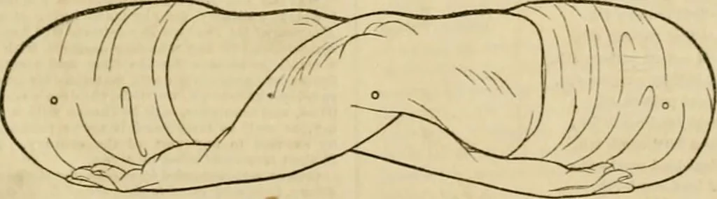 An illustration from Godey's lady's book 1864 Jan -June; Jul - Dec, 1864, leaf 1105