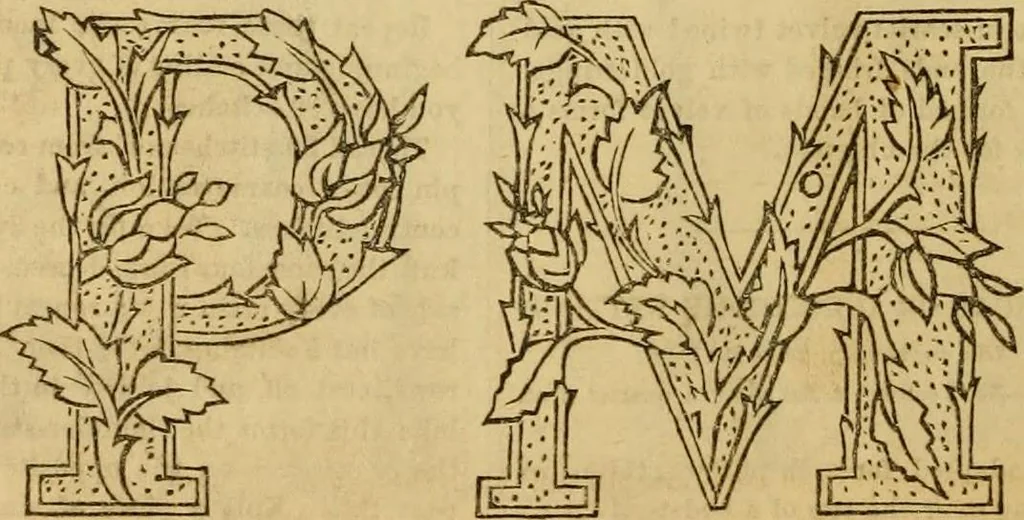 An illustration from Godey's lady's book 1864 Jan -June; Jul - Dec, 1864, leaf 186