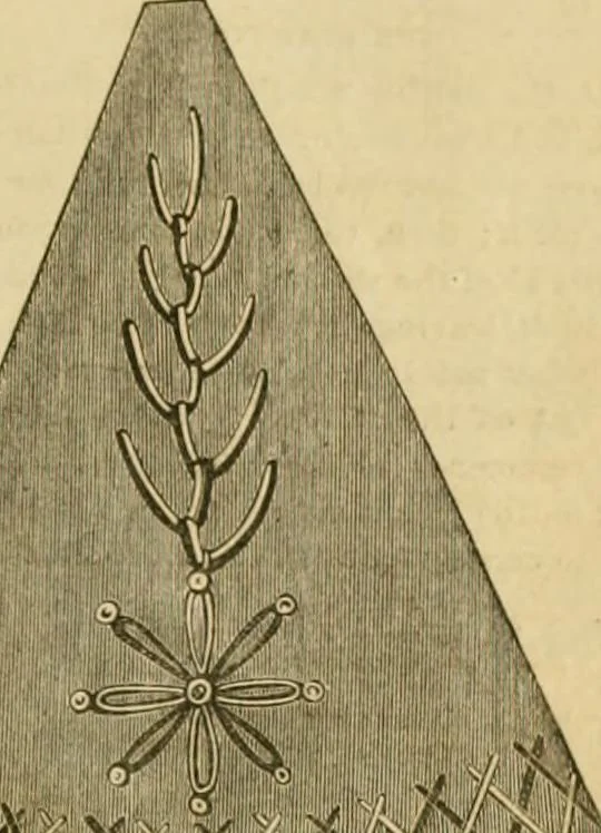 An illustration from Godey's lady's book 1864 Jan -June; Jul - Dec, 1864, leaf 187